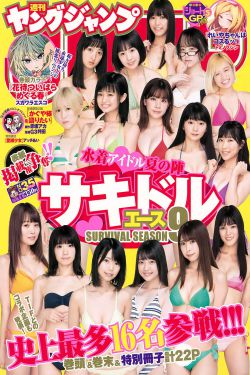 新足球小将国语版